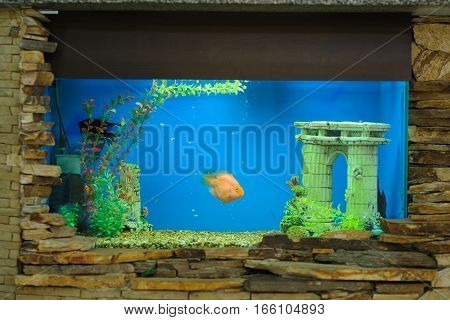 Aquarium