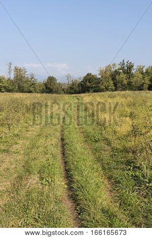 Valassina (Lecco Lombardy Italy): landscape in september an overgrown path along the bicycle itinerary from Milan to Como lake