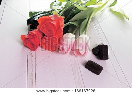 Three Tulips On A White Background