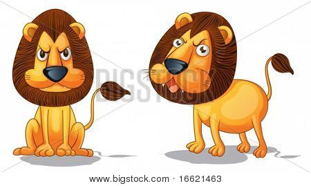 Illustrazione di due leoni su bianco