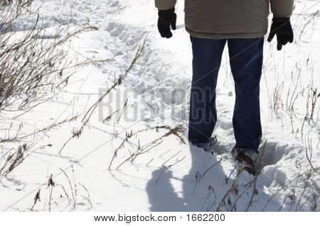 Promenade d'hiver