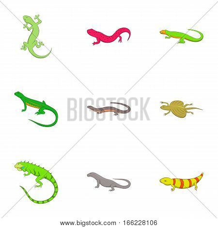 Amphibian reptile species icons set. Cartoon illustration of 9 amphibian reptile species vector icons for web