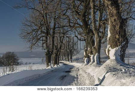 Winter road near Krasny Les village in north Bohemia