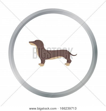 Dachshund vector illustration icon in cartoon design - stock vector