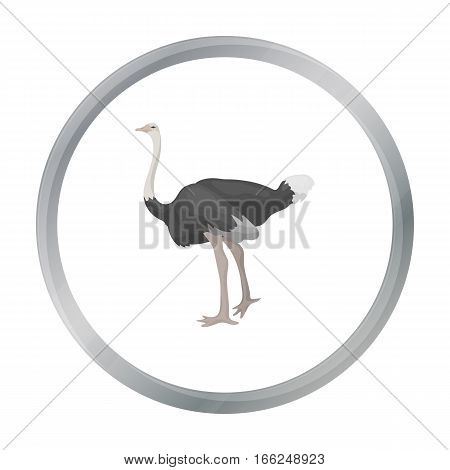 Ostrich icon in cartoon style isolated on white background. Bird symbol vector illustration. - stock vector