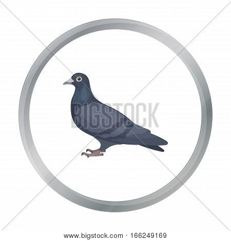 Pigeon icon in cartoon style isolated on white background. Bird symbol vector illustration. - stock vector