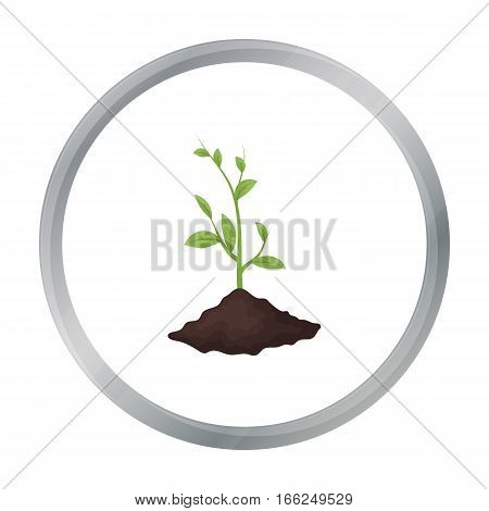 Sprout icon in outline design isolated on white background. Bio and ecology symbol stock vector illustration. - stock vector