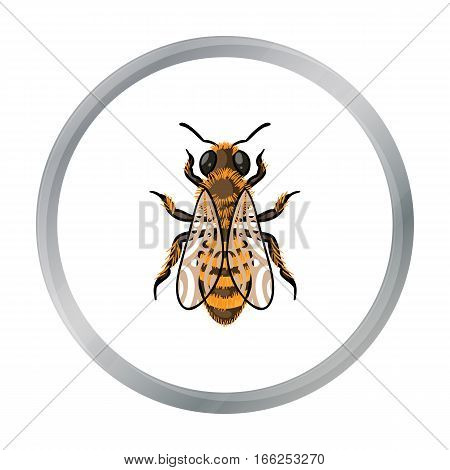 Bee icon in cartoon style isolated on white background. Apiary symbol vector illustration - stock vector