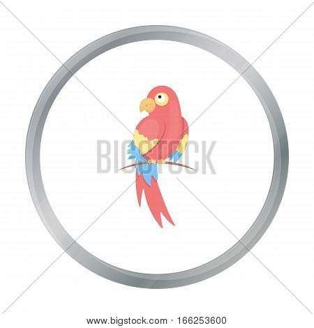 Parrot icon cartoon. Singe animal icon from the big animals cartoon. - stock vector