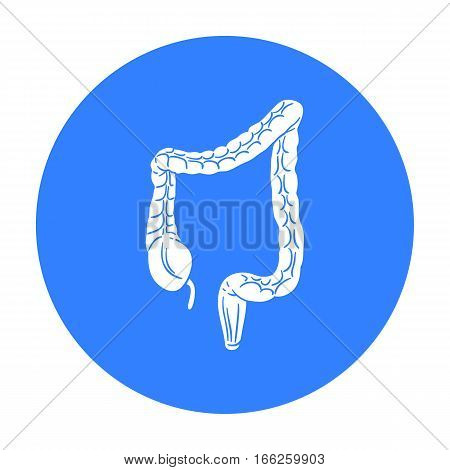 Human large intestine icon isolated on white background. Human organs symbol vector illustration.