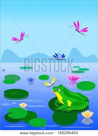 vector Green frog sitting on a leaf hunting dragonflies