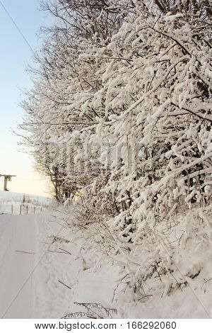 Frosted tree branches.
Winter night scenery and countryside views of the sunset.