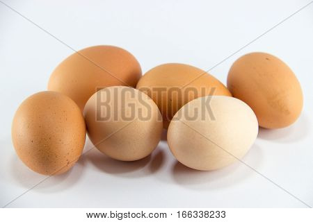 egg eggs food chicken healt protein organic