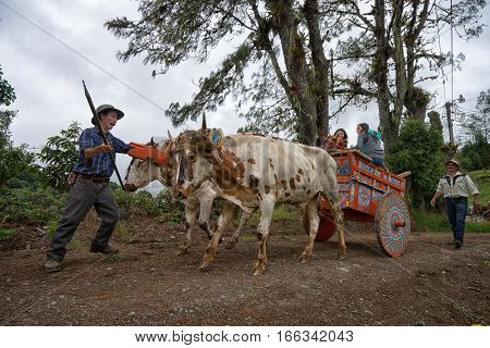 May 22 2016 Florencia Costa Rica: local farmer in front of a colourful carriage pulled by bovines