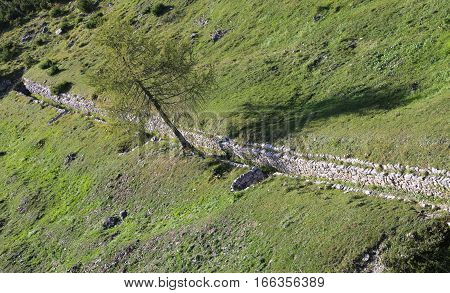 Ancient Trenches Of First World War Built By The Soldiers With S