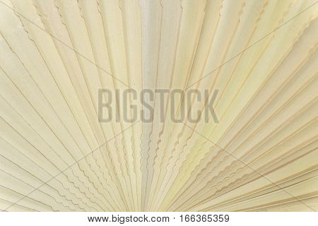 Chinese scented wood folding fan pattern texture
