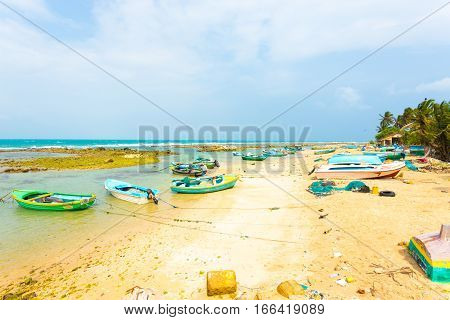 Jaffna Point Pedro Fishing Village Boats Beach H