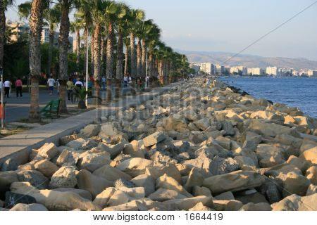 Palm Avenue