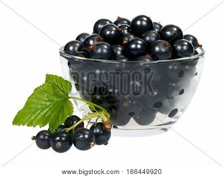 Currant Berries In A Cup Of Glass