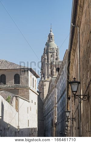 Salamanca (Castilla y Leon Spain): historic buildings: College of Spain and San Benito church