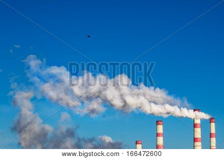 White smoke from the chimneys of the plant against the blue sky