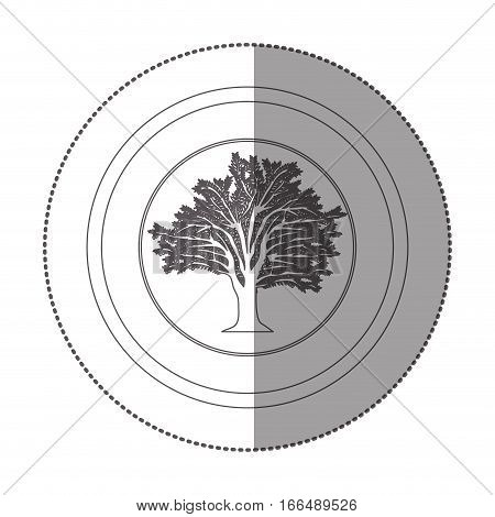 silhouette of sticker circular with tree with ramifications vector illustration