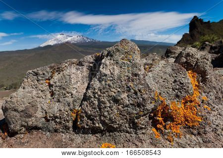 Natural Park Of Teide, Tenerife, Canary, Espana