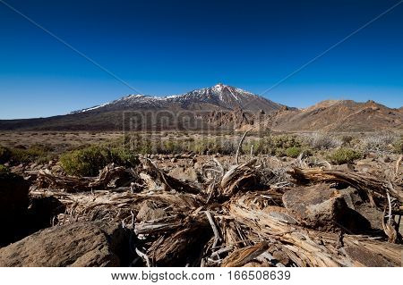 Natural Park Of Teide, Tenerife, Canary, Espana