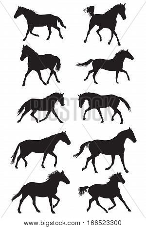 Set of vector black trotting horses silouettes on white background