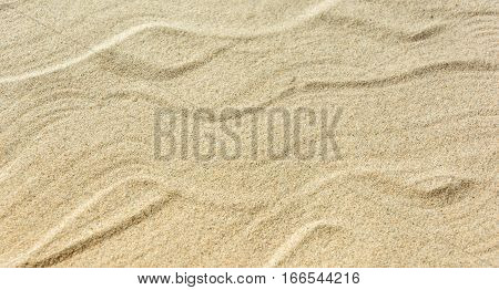 Sandy beach for background. Sand texture. Top view. Copy space.