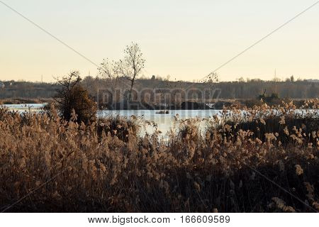 The rare phenomenon of the frozen bogs of Lake Iseo - Brescia - Lombardy - Italy