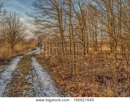 Nature Reserve In Winter