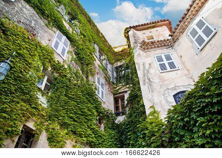 Historical building with green plant vegetation. In Eze Village France. Summer in Europe.
