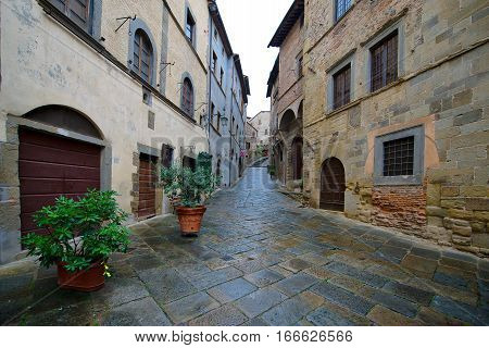 Detail of Anghiari a medieval village in Tuscany - Italy