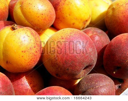 Abricots frais en vente sur un étal de marché