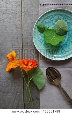 edible flowers nasturtium with blue plate - topview