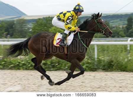 Horse race for the traditional prize Bolshoi Letni in Pyatigorsk,the largest in Russia.