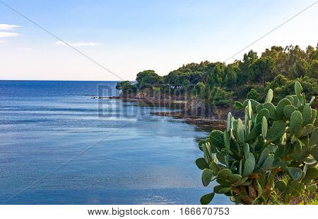 Italy Cilento Ogliastro Marina view of the seafront
