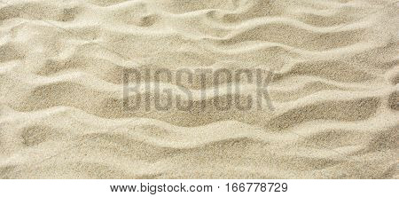 Sandy beach for background. Sand texture. Top view. Copy space.
