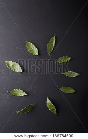 Bay leaves on a black background. Bay leaf. Laurel wreath. Copyspace