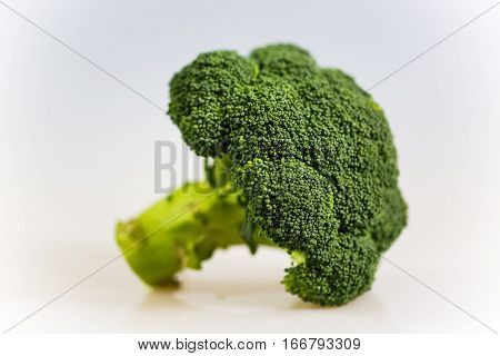 Broccoli raw wihte background, vegetable, studio , vegetarian