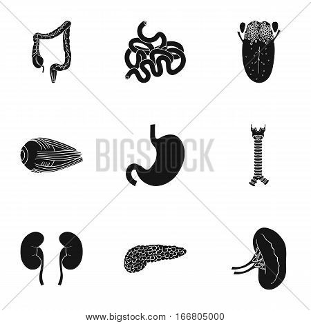 Human organs set icons in black design. Big collection of human organs vector symbol stock illustration