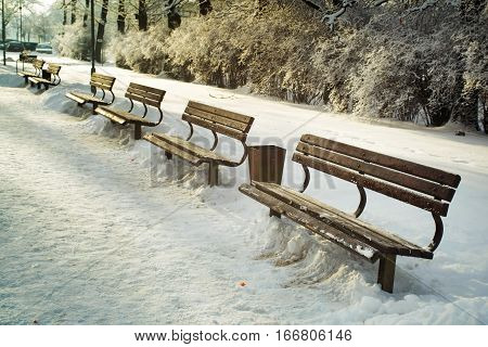 Aley in the winter snow-covered park with benches