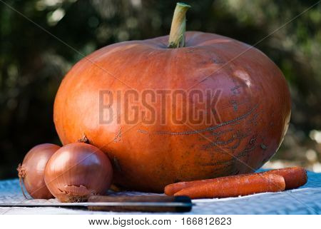 Pumpkin, carrots and onion, fall harvest, autumn harvest