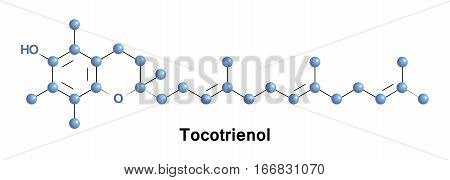 Tocotrienols are members of the vitamin E family.