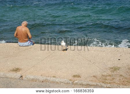 ISTANBUL, TURKEY - AUGUST 14, 2016: Lonely man and the gull at the Burgazada coast