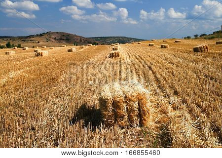 Bales of starw in a field against a blue sky