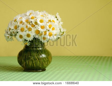 Store Daisy buket i en Vase