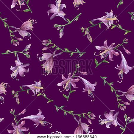 Seamless pattern with branch of purple hosta flower. Lilies. Hosta ventricosa minor, asparagaceae family. Hand drawn watercolor painting on purple background.