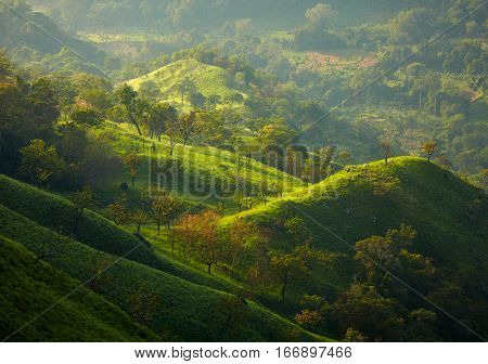 Sri Lanka landscapes nature background in morning lights